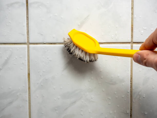 Best Mold Testing and Inspection Services in Bagdad, FL