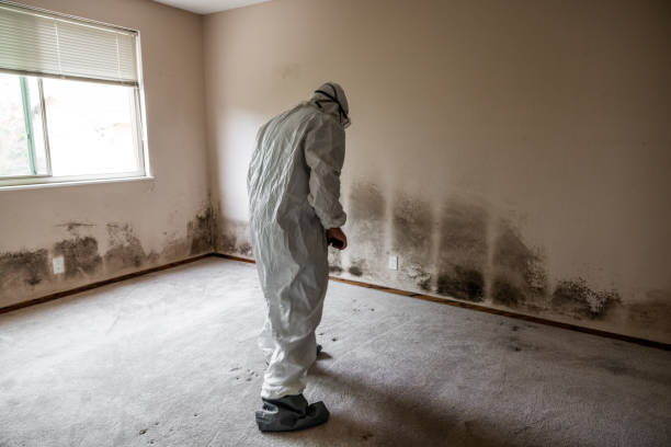 Best Industrial Mold Remediation in Bagdad, FL